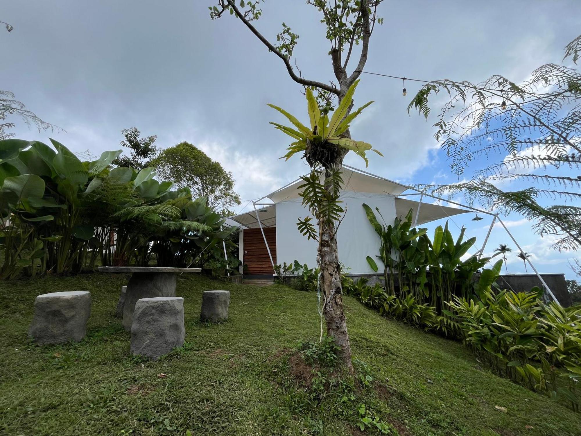 Harsa Eco Luxury Camp Hotel Gobleg  Exterior photo
