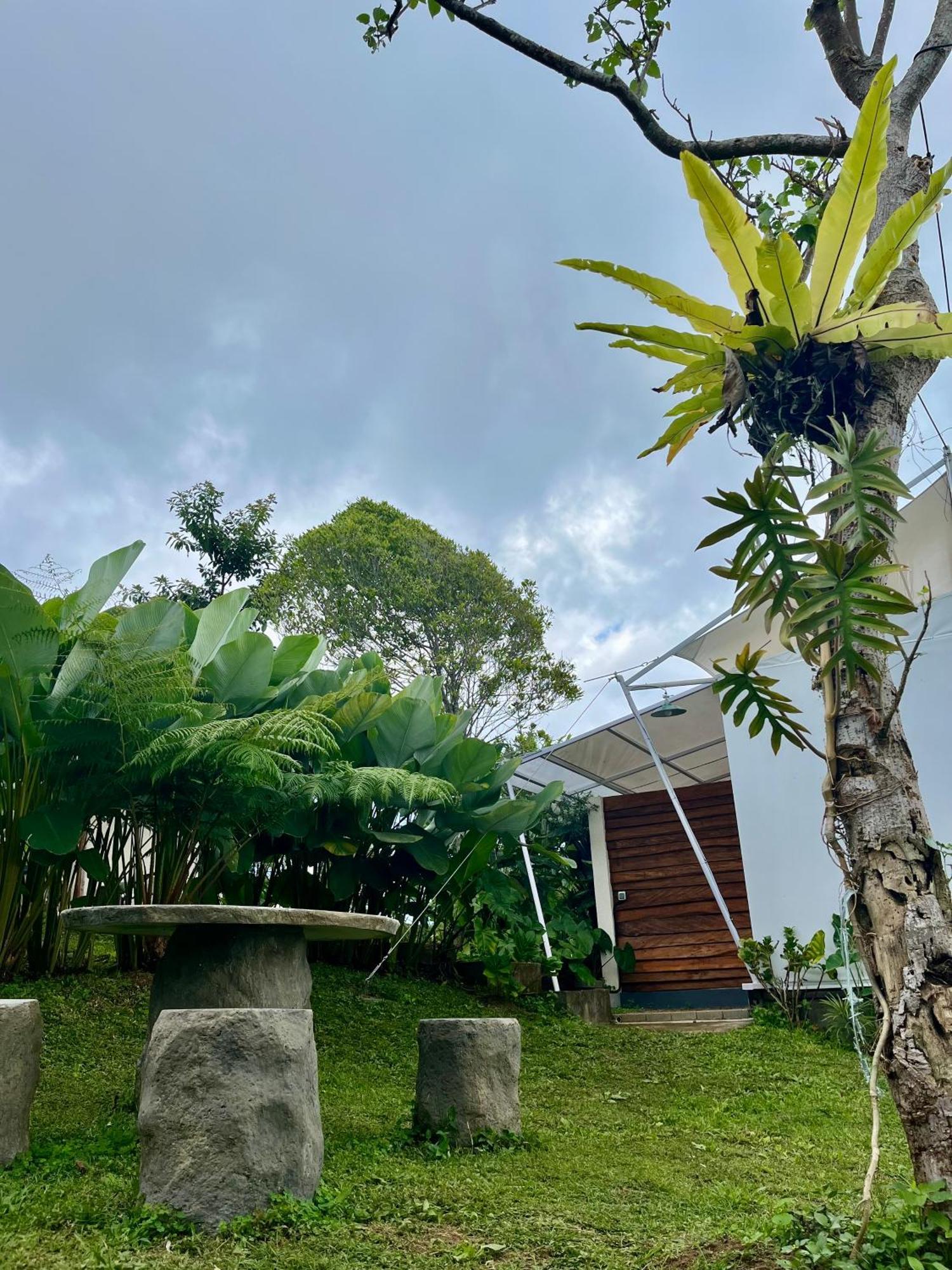 Harsa Eco Luxury Camp Hotel Gobleg  Exterior photo